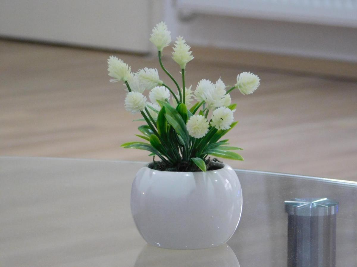 Apartments Mateo ซาเกร็บ ภายนอก รูปภาพ